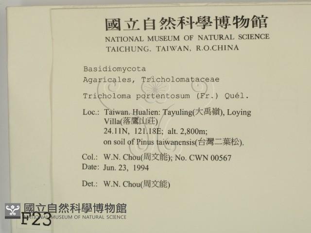 登錄號:F0002312藏品圖，第2張