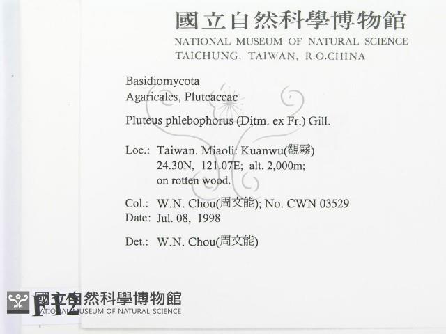 登錄號:F0012312藏品圖，第2張