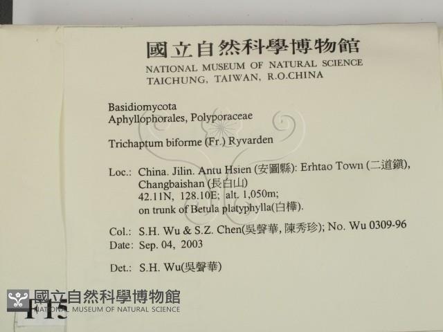 登錄號:F0015312藏品圖，第2張