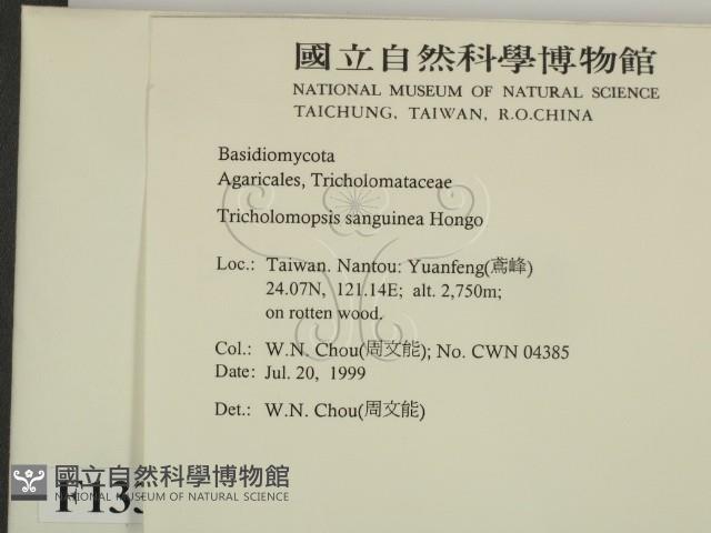 登錄號:F0013312藏品圖，第2張