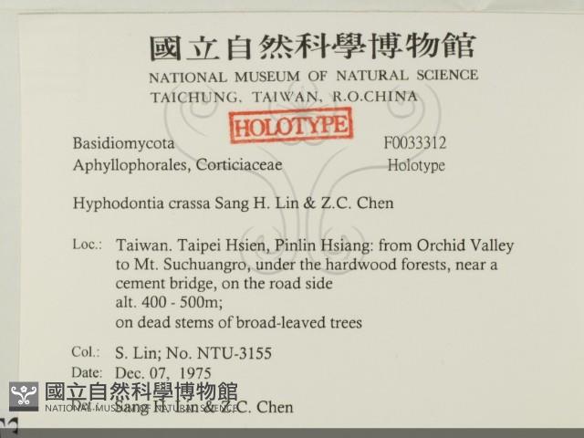 登錄號:F0033312藏品圖，第2張