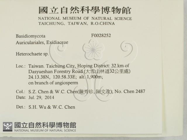 刺皮菌屬藏品圖，第2張