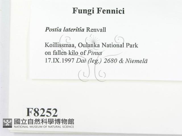 登錄號:F0008252藏品圖，第2張