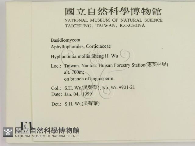 登錄號:F0010252藏品圖，第2張