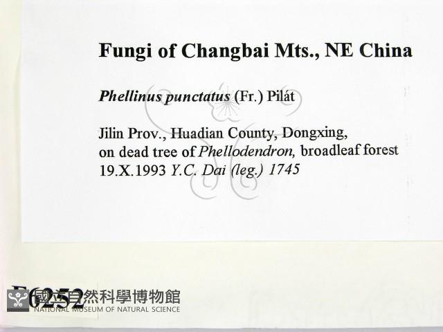 登錄號:F0006252藏品圖，第2張