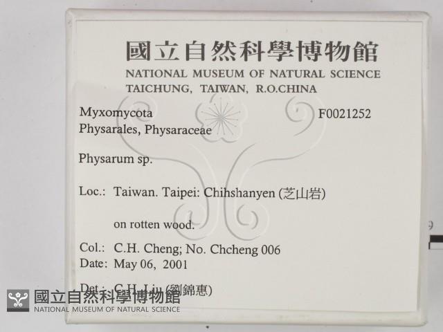 登錄號:F0021252藏品圖，第2張