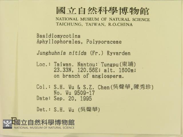 登錄號:F0004252藏品圖，第2張