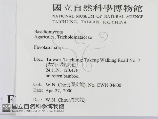 登錄號:F0014252藏品圖，第2張