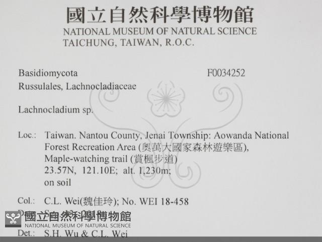 登錄號:F0034252藏品圖，第2張