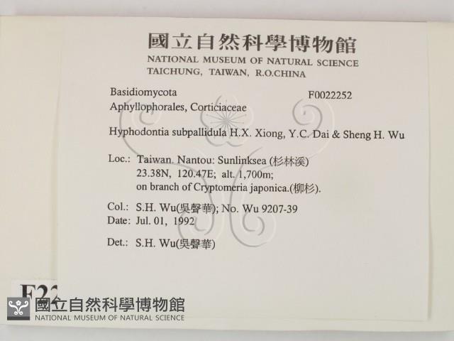 登錄號:F0022252藏品圖，第2張