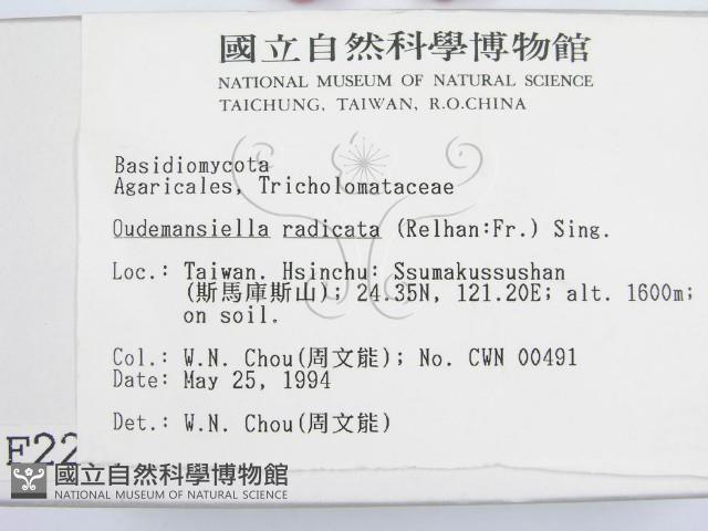 登錄號:F0002252藏品圖，第2張