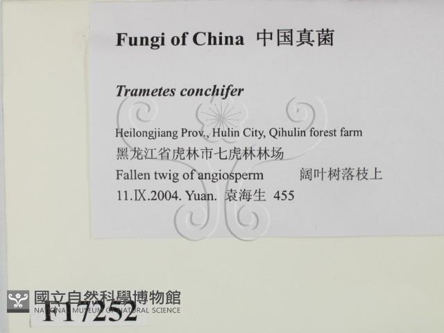 登錄號:F0017252藏品圖，第2張