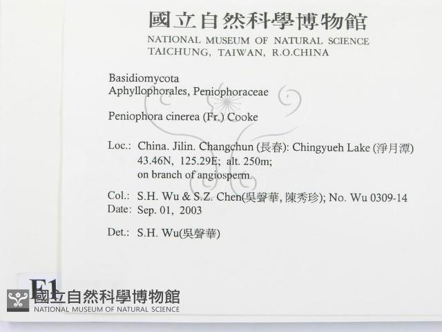 登錄號:F0015252藏品圖，第2張