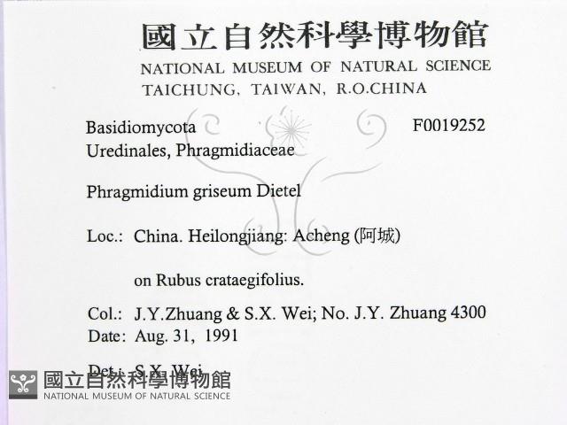 登錄號:F0019252藏品圖，第2張