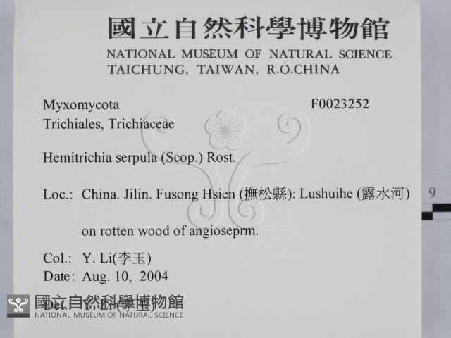 登錄號:F0023252藏品圖，第2張
