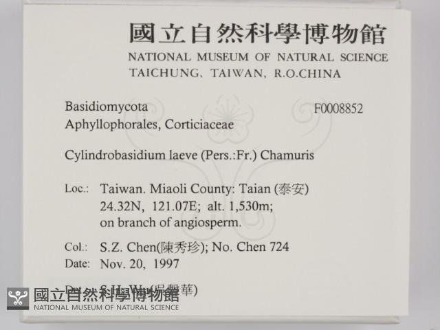 登錄號:F0008852藏品圖，第2張