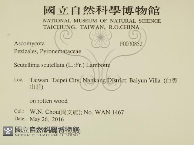 登錄號:F0030852藏品圖，第2張