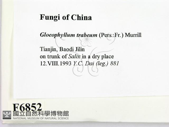 登錄號:F0006852藏品圖，第2張