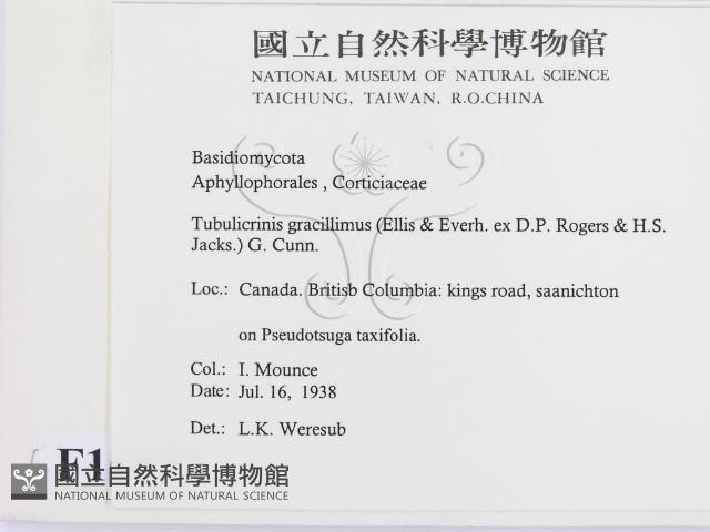 登錄號:F0016852藏品圖，第2張