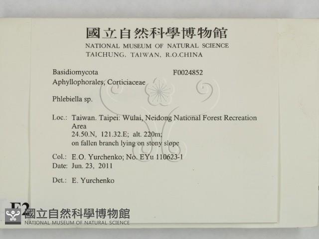 登錄號:F0024852藏品圖，第2張