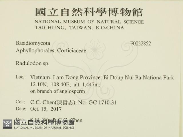 登錄號:F0032852藏品圖，第2張