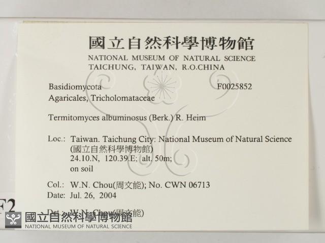 登錄號:F0025852藏品圖，第2張