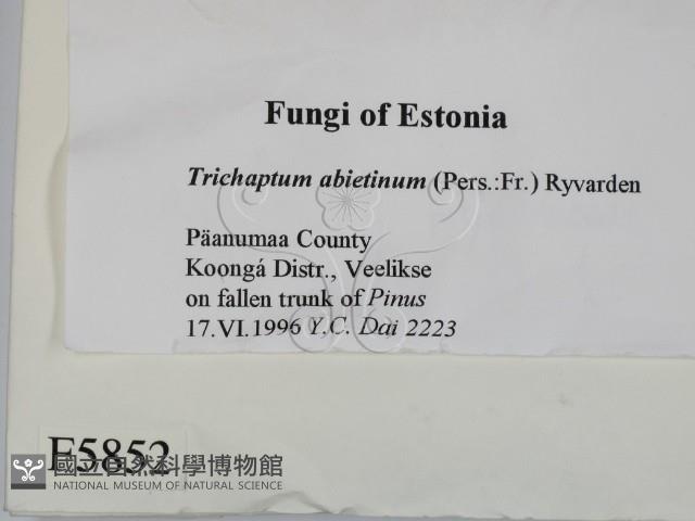 登錄號:F0005852藏品圖，第2張