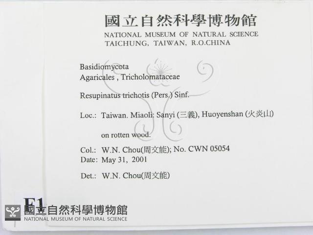 登錄號:F0015852藏品圖，第2張