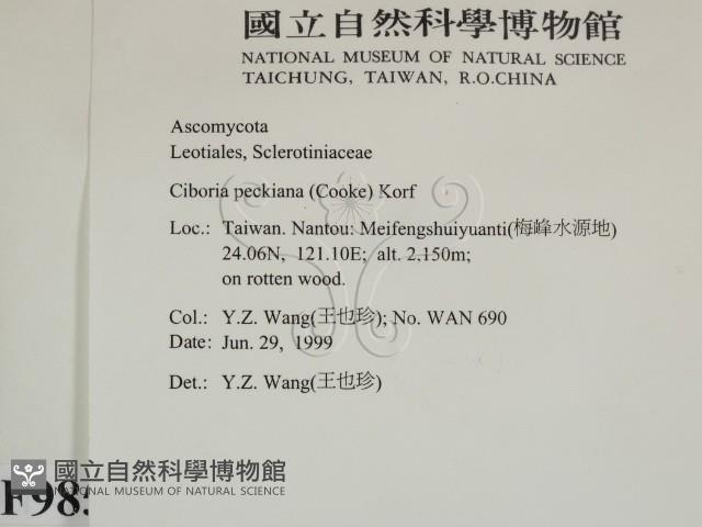 登錄號:F0009852藏品圖，第2張