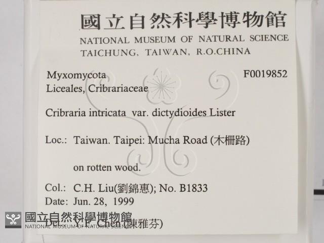 登錄號:F0019852藏品圖，第2張