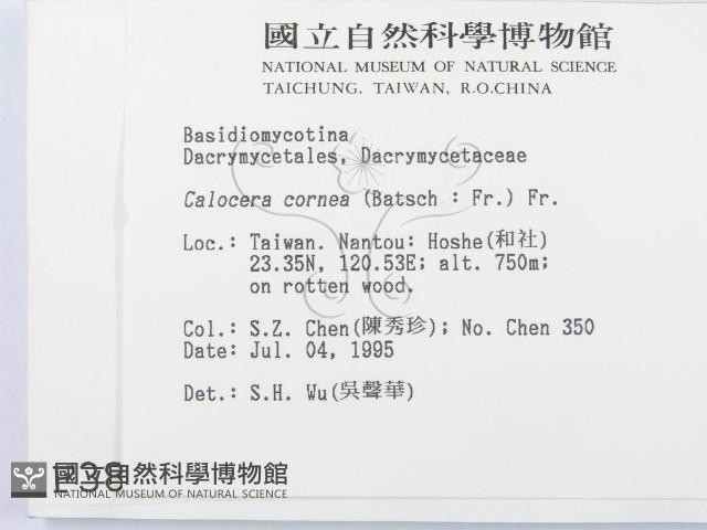 登錄號:F0003852藏品圖，第2張