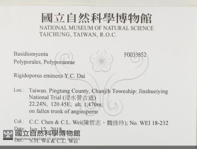 登錄號:F0033852藏品圖，第2張