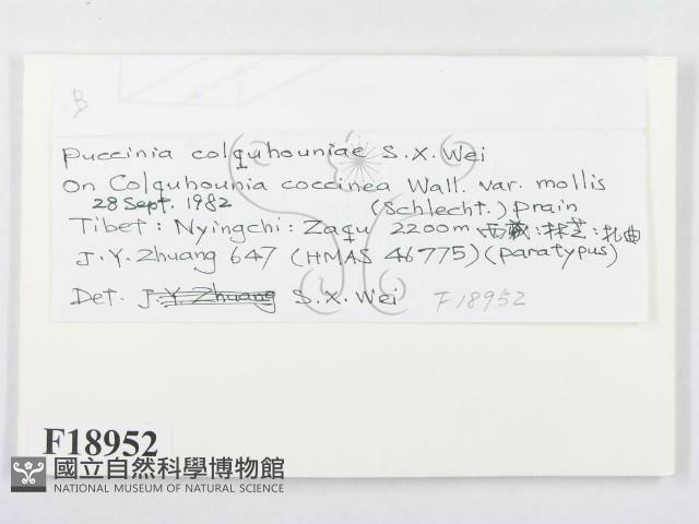 登錄號:F0018952藏品圖，第2張