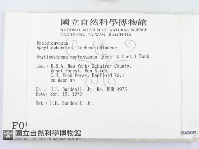 登錄號:F0000952藏品圖，第2張