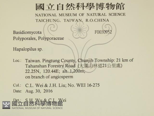 登錄號:F0030952藏品圖，第2張