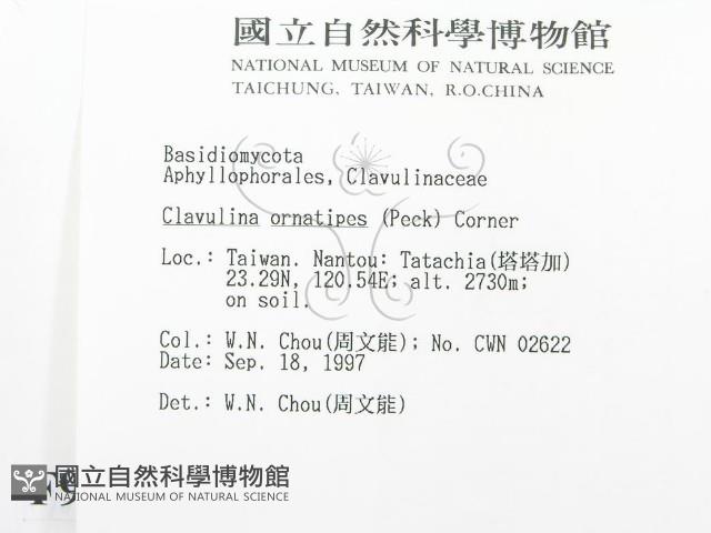 登錄號:F0006952藏品圖，第2張