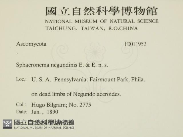 登錄號:F0011952藏品圖，第2張