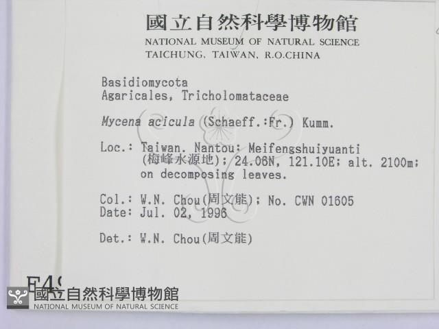 登錄號:F0004952藏品圖，第2張