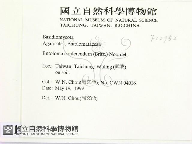 登錄號:F0012952藏品圖，第2張