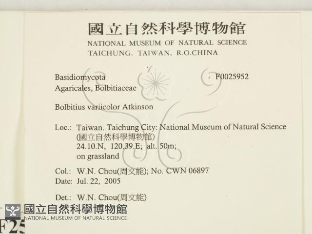 登錄號:F0025952藏品圖，第2張