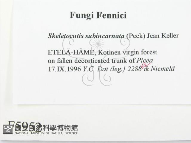 登錄號:F0005952藏品圖，第2張