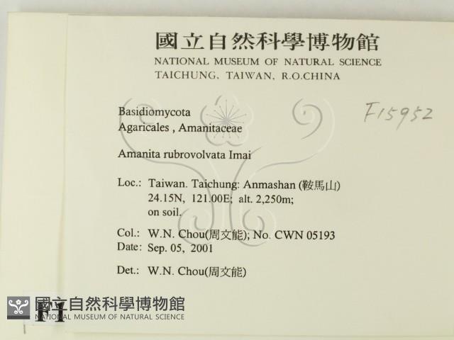 登錄號:F0015952藏品圖，第2張