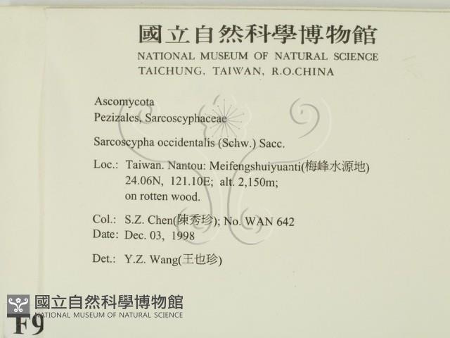 登錄號:F0009952藏品圖，第2張