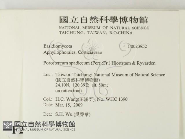 登錄號:F0023952藏品圖，第2張