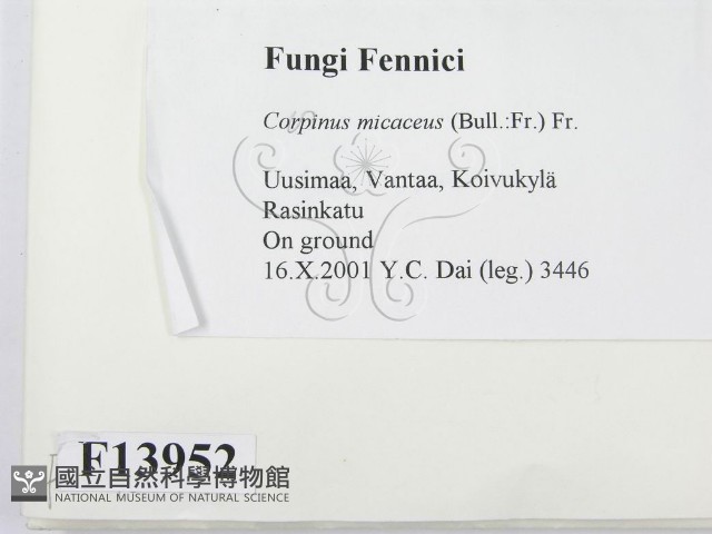 登錄號:F0013952藏品圖，第2張