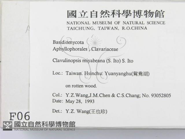 登錄號:F0000652藏品圖，第2張