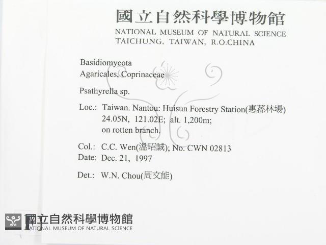 登錄號:F0010652藏品圖，第2張