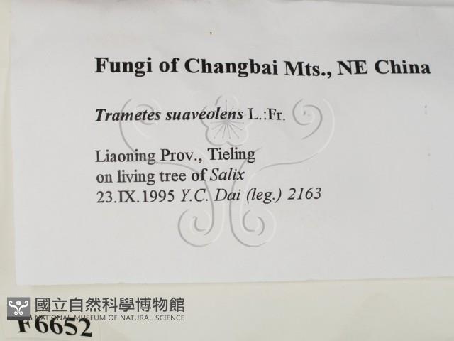 登錄號:F0006652藏品圖，第2張