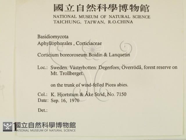 登錄號:F0016652藏品圖，第2張