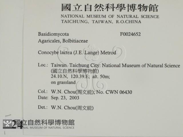 登錄號:F0024652藏品圖，第2張